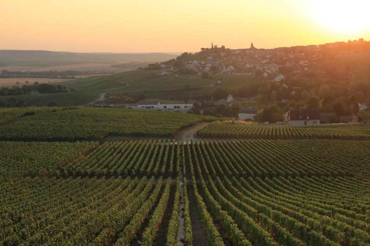 Lodge De La Vigneronne Chatillon-sur-Marne Luaran gambar