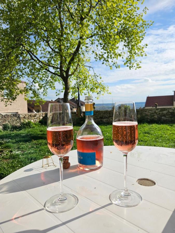 Lodge De La Vigneronne Chatillon-sur-Marne Luaran gambar